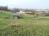 Obrzek - Stavebn pozemek - Dtmarovice - 1000 m2