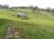 Obrzek - Stavebn pozemek - Dtmarovice - 1000 m2